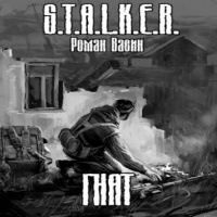 Аудиокнига S.T.A.L.K.E.R. Гнат Васин Роман